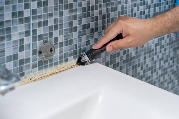 Best Bathroom Mold Remediation in Corrales, NM